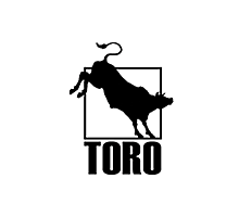 Toro Abrasivos