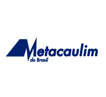 Metacaulim